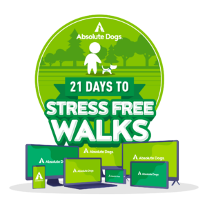 21 Days to Stress Free Walks logo
