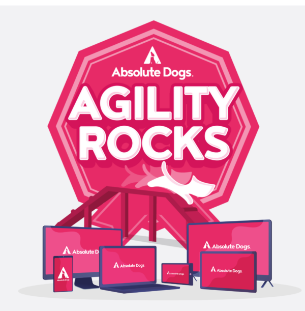 Agility Rocks course logo
