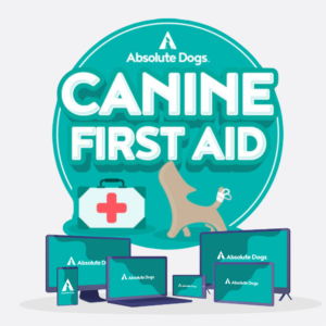 Canine First Aid logo