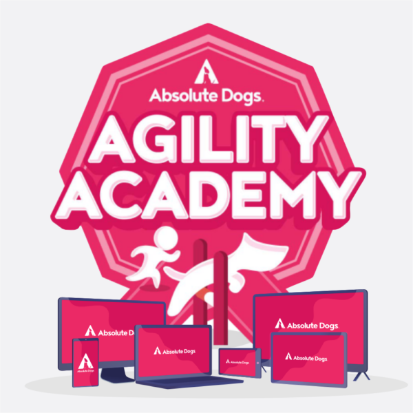 Agility Academy logo