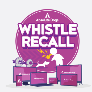 Whistle Recall course logo
