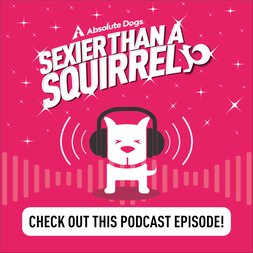 Sexier Than A Squirrel podcast