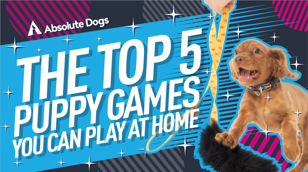 The Top 5 Puppy Games You Can Play At Home