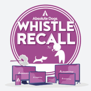 Whistle Recall course logo