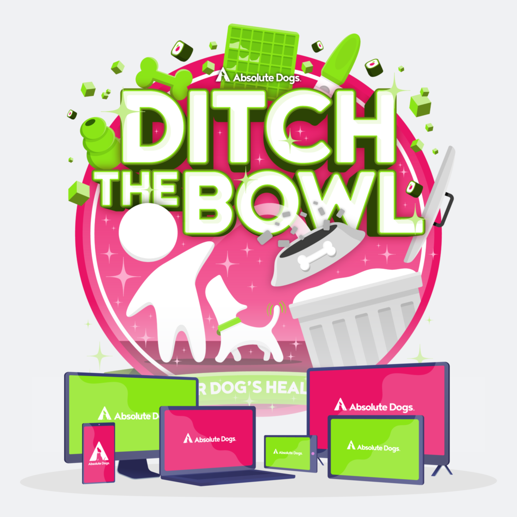 Why Enrichment Activities and Ditching the Bowl are Vital for Your