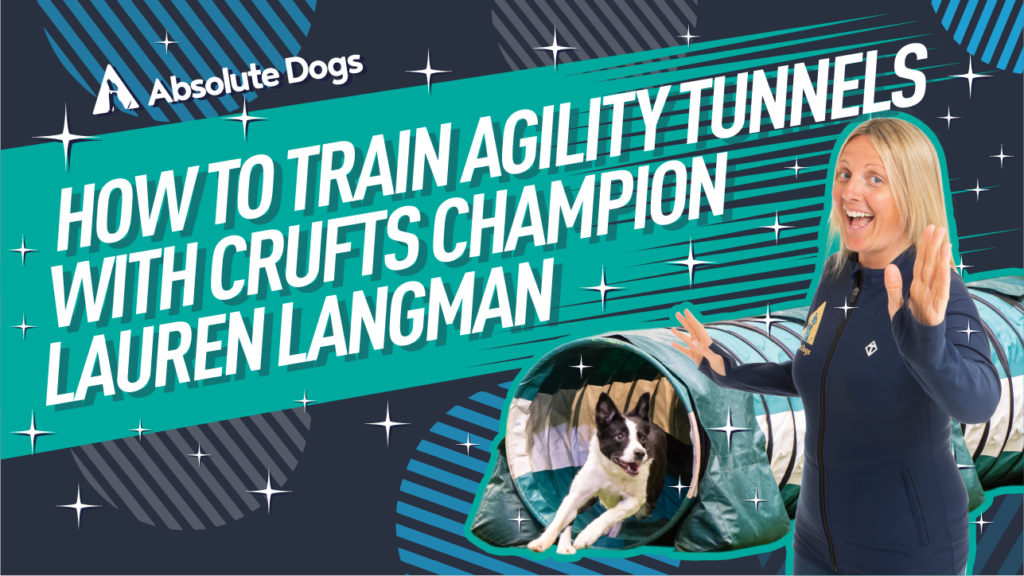 How to Train Agility Tunnels with Crufts Champion Lauren Langman
