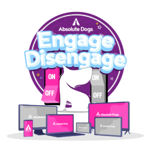 Engage Disengage course logo