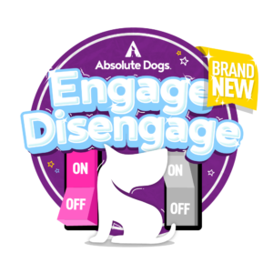 Engage Disengage badge logo