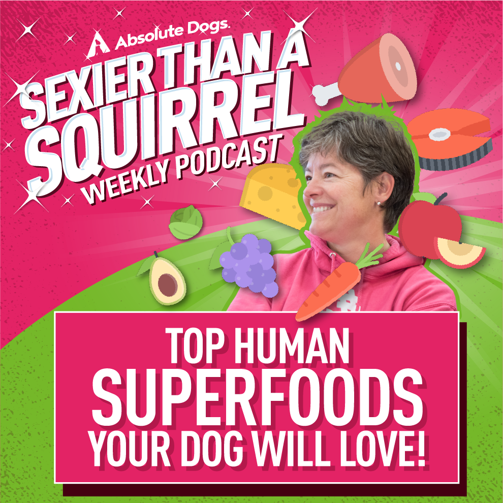 Top Human Superfoods your Dog Will LOVE!