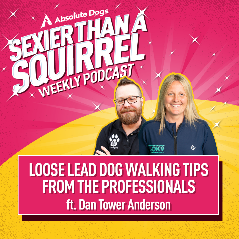 Loose Lead Dog Walking Tips From the Professionals