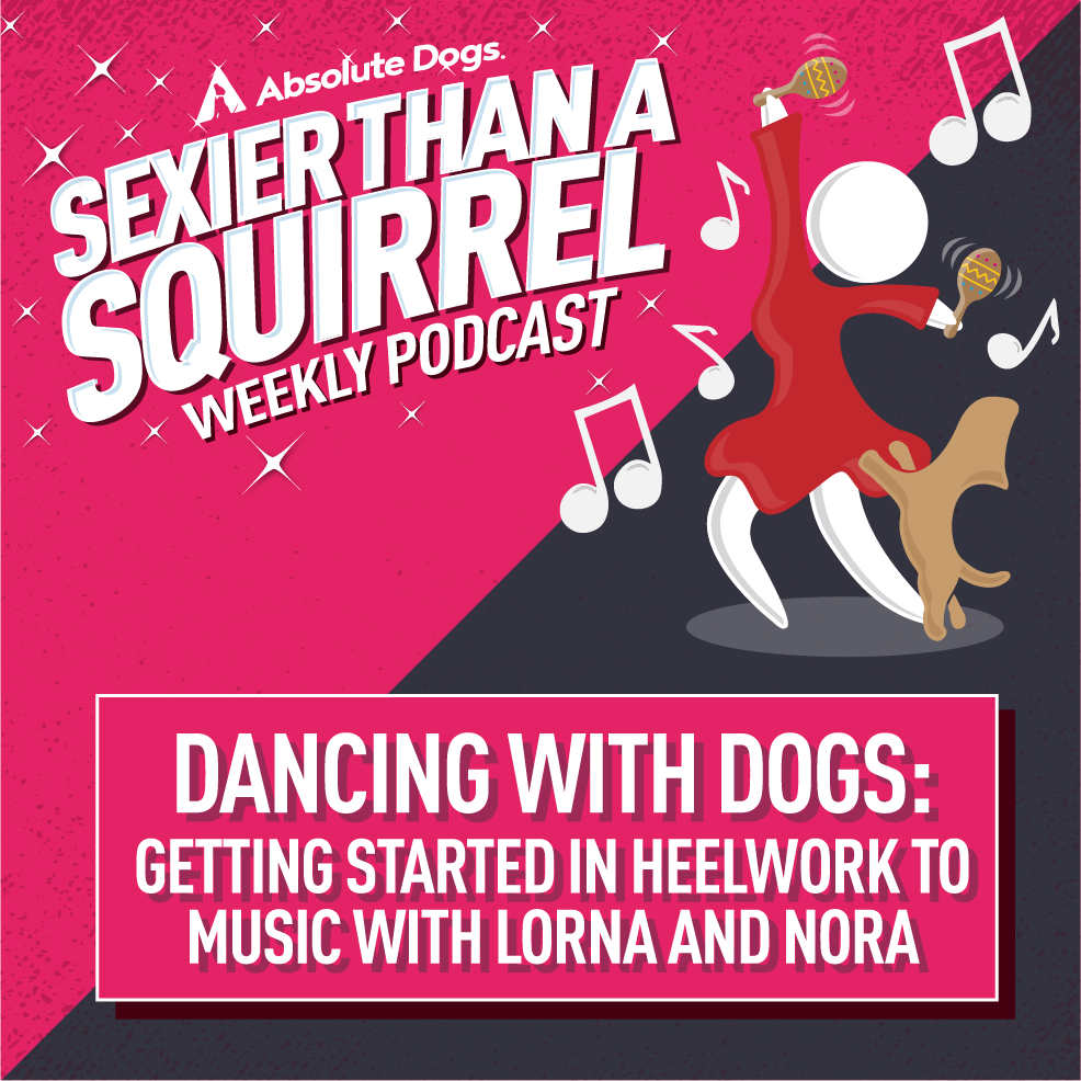 Dancing with Dogs: Getting started in Heelwork to Music with Lorna and Nora