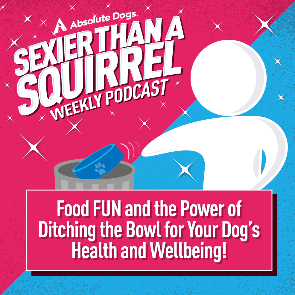 Food FUN and the Power of Ditching the Bowl for Your Dog’s Health and Wellbeing!