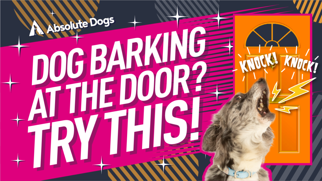 Dog barking at the door? Try this!