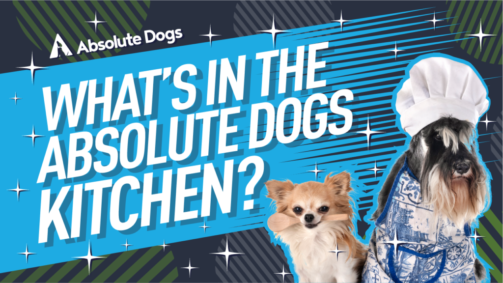 What's in the AbsoluteDOGS Kitchen?