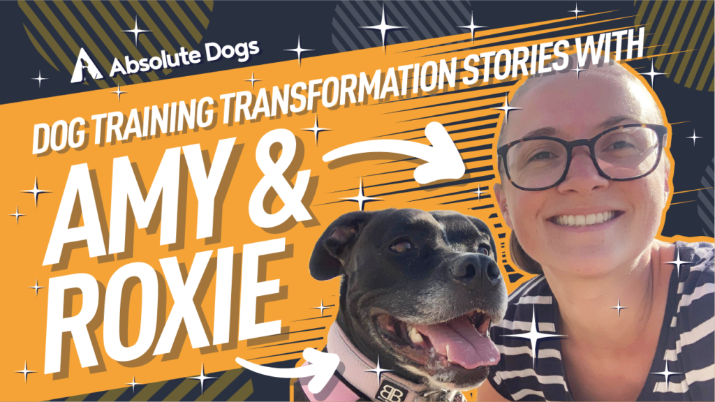 Dog Training Transformation Stories - With Amy and Roxie