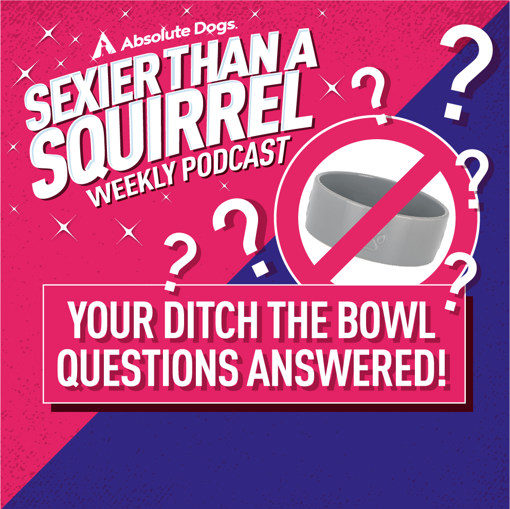 Your Ditch The Bowl Questions Answered!