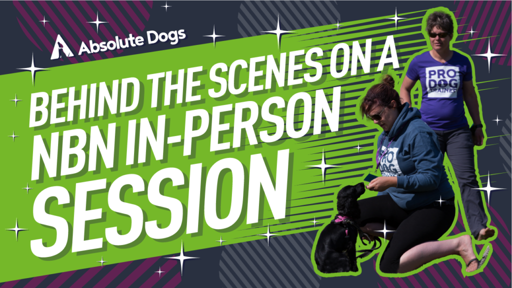 Naughty But Nice Dog Owners You Aren't Alone - Behind the Scenes