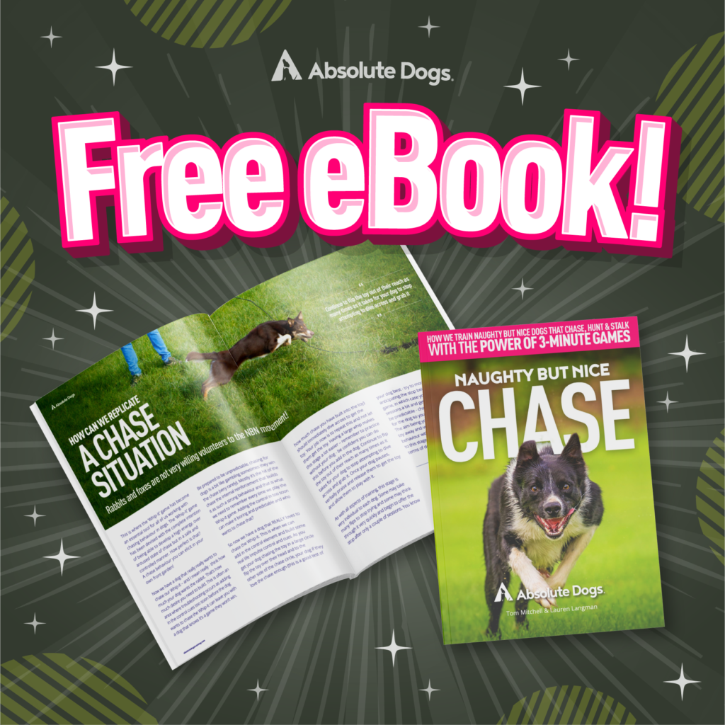 Chase Dog Training Ebook by AbsoluteDogs