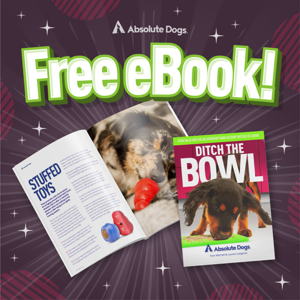 Ditch the bowl ebook dog training with absolute dogs games based training