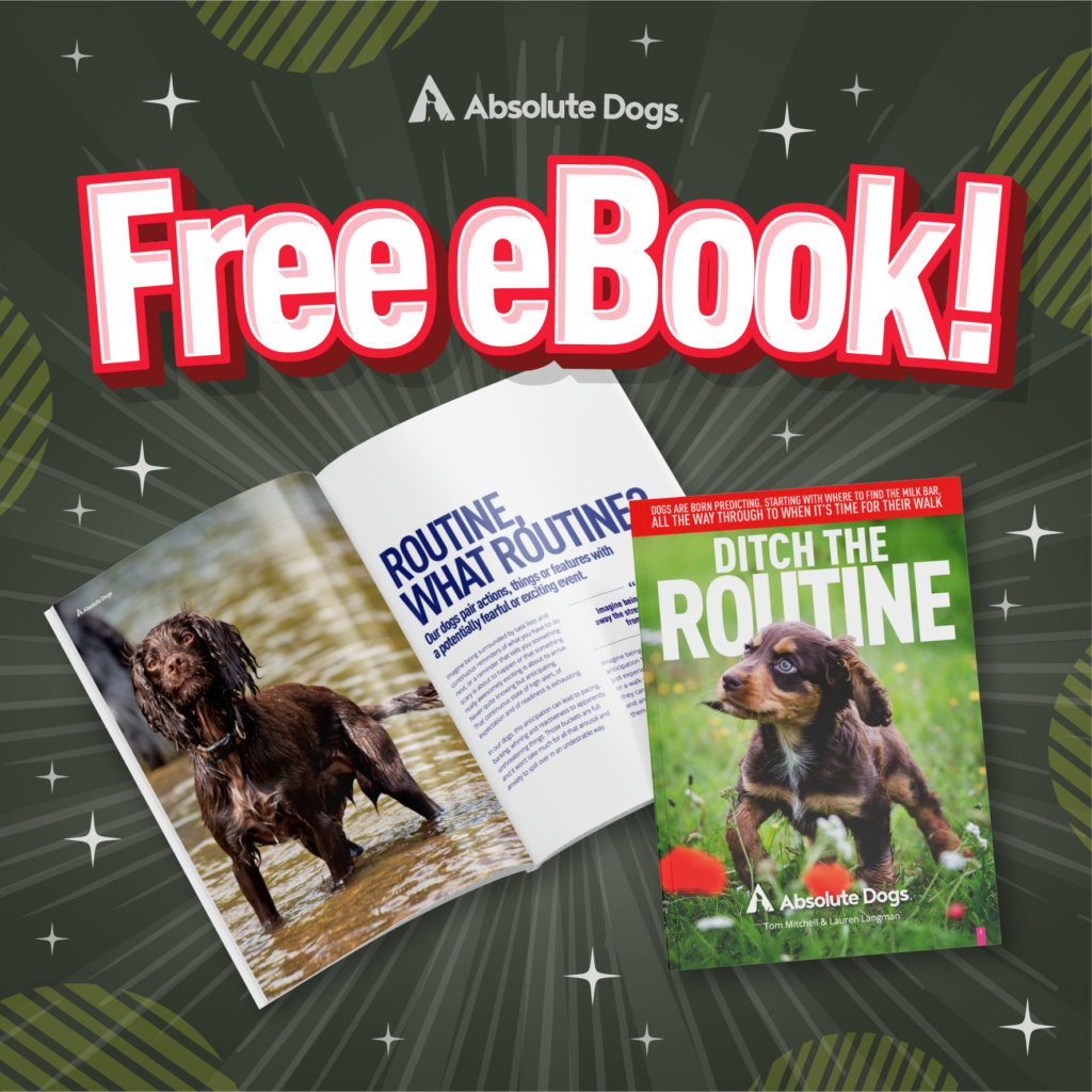 Ditch the Routine dog training ebook image with aboslute dogs