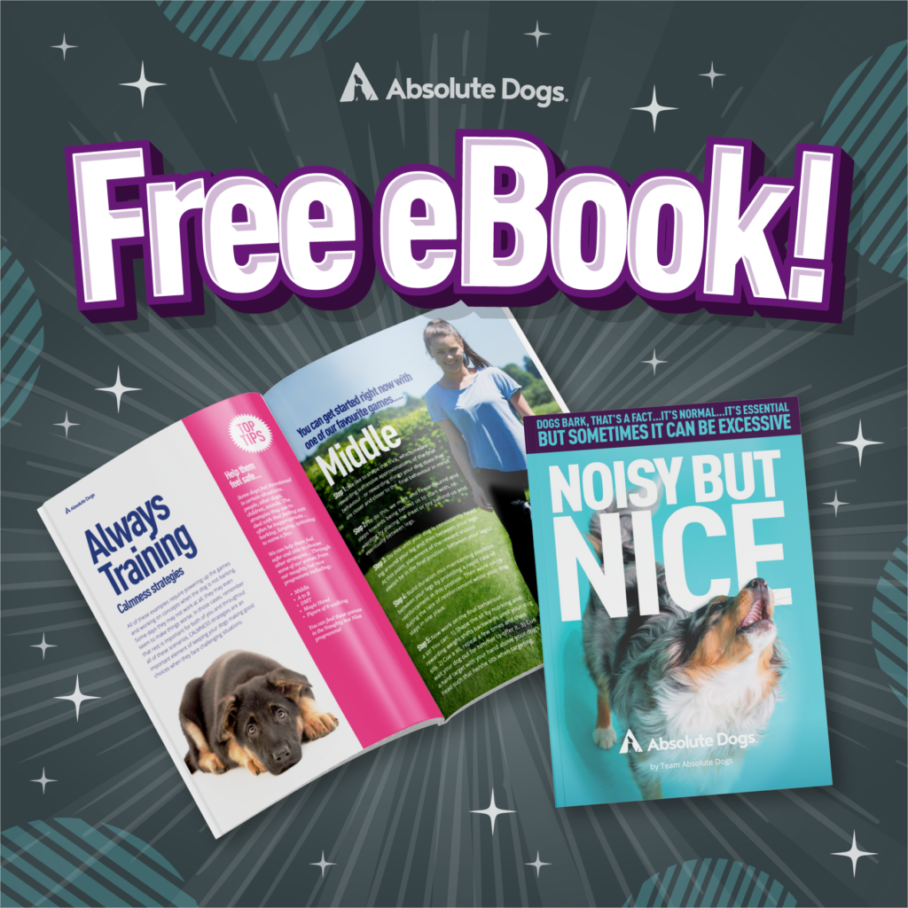 Noisy but nice - the ebook to help stop your dog barking by AbsoluteDogs