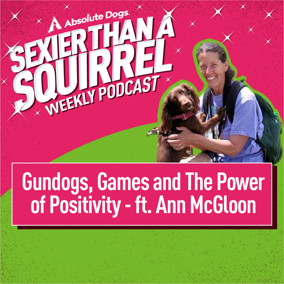 Gundogs, Games and the Power of Positivity ft. Ann McGloon