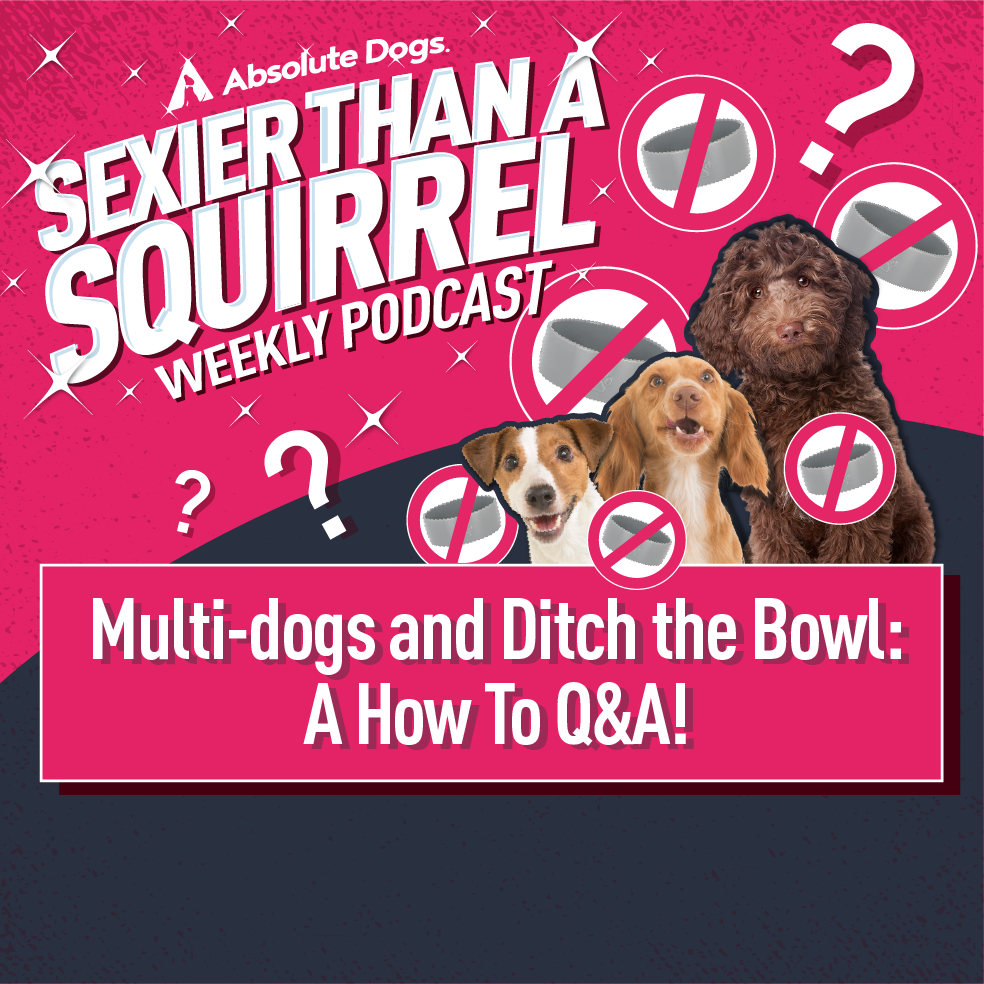 Multi-dogs and Ditch the Bowl: A How To Q&A!