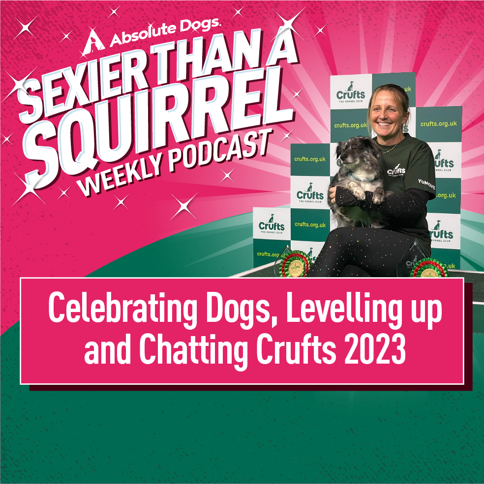 Celebrating Dogs, Levelling Up and Chatting Crufts 2023
