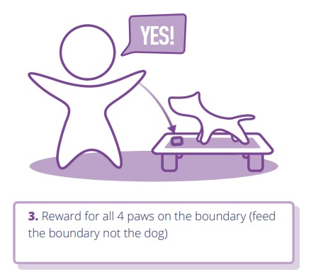 stop my dog barking step 3 reward all 4 paws on the boundary