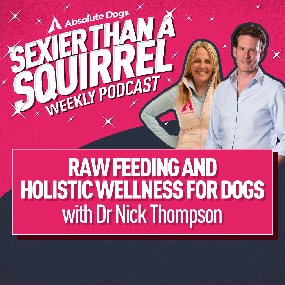 Raw Feeding and Holistic Wellness for Dogs with Dr Nick Thompson