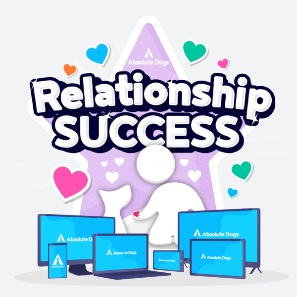 Relationship Success product graphic