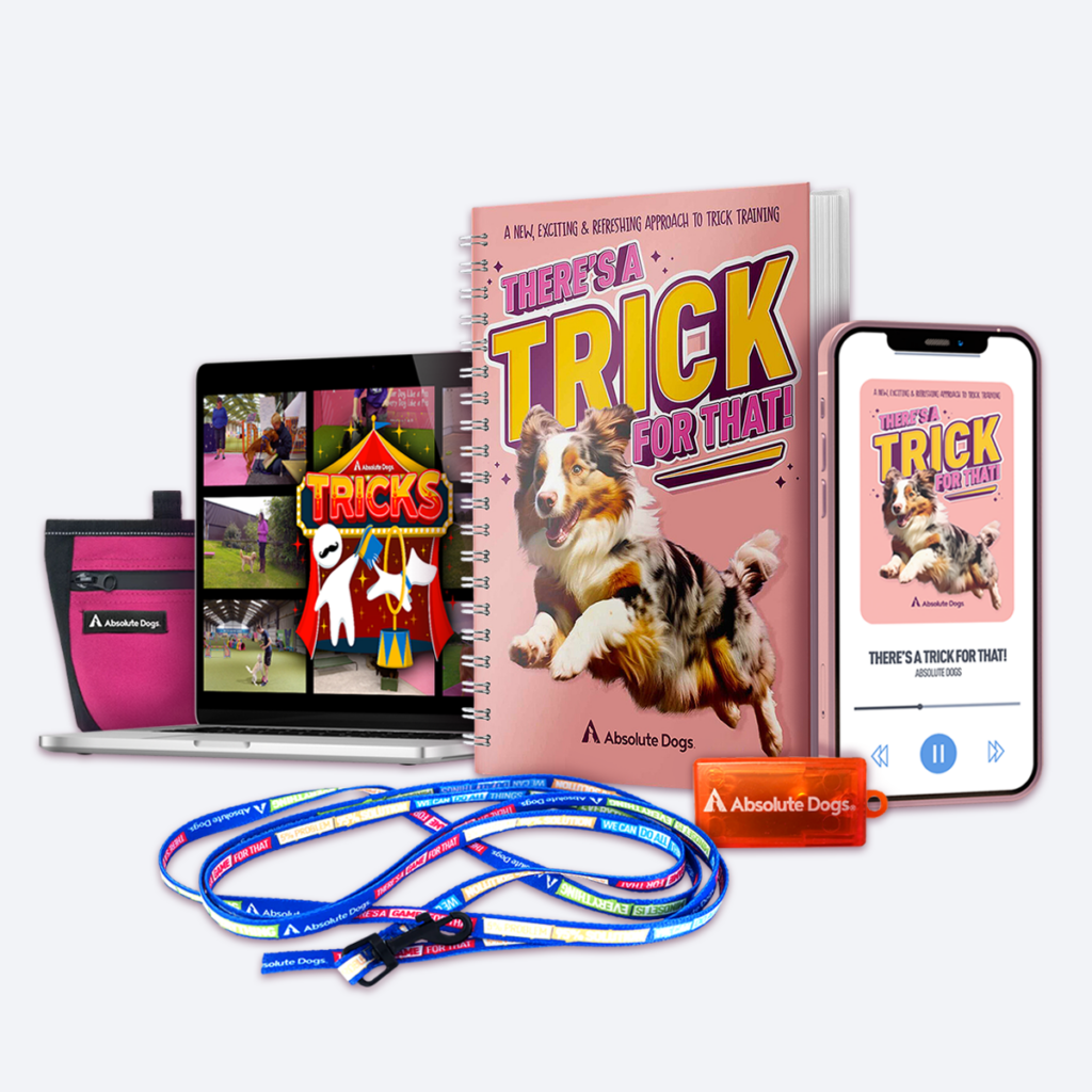 Option 3: The Ultimate Halloween Trick Transformation Bundle: There’s A Trick For That! Paperback, Audiobook, Clicker, Treat Bag, Training Line PLUS our digital Tricks course