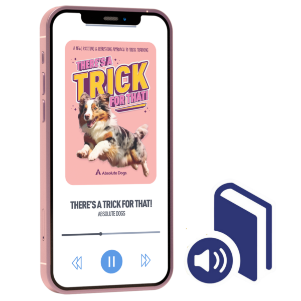There's A Trick For That! Audiobook