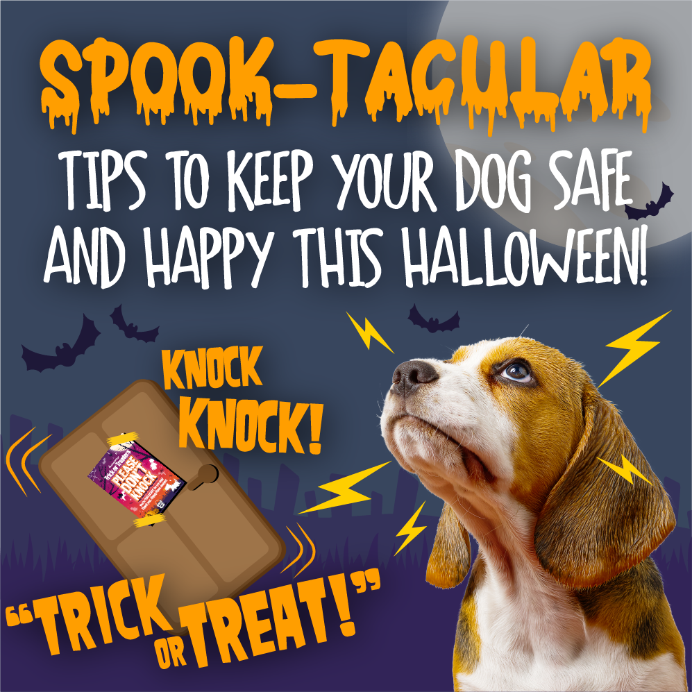 Spook-tacular Tips to Keep Your Dog Safe and Happy this Halloween! Dog looking worried by sounds of door knocking and trick or treaters. Image of a door with a "Don't Knock" sign on it