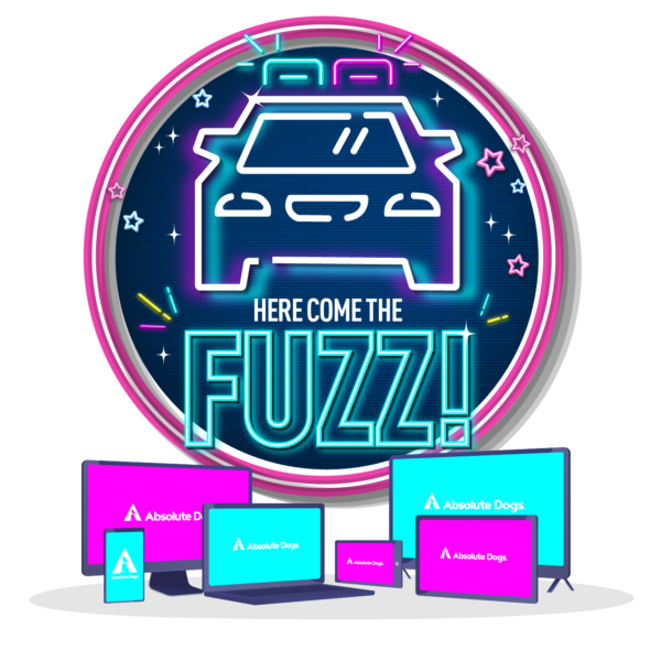 Here Come The Fuzz logo