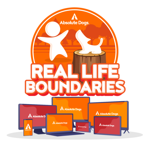 Real Life Boundaries logo