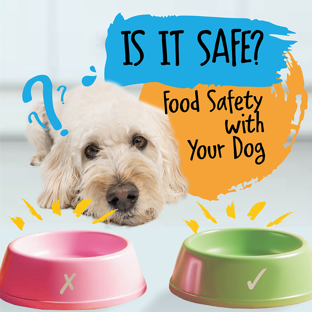 Is It Safe? Food Safety with Your Dog