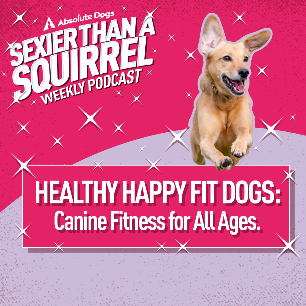 Healthy Happy Fit Dogs