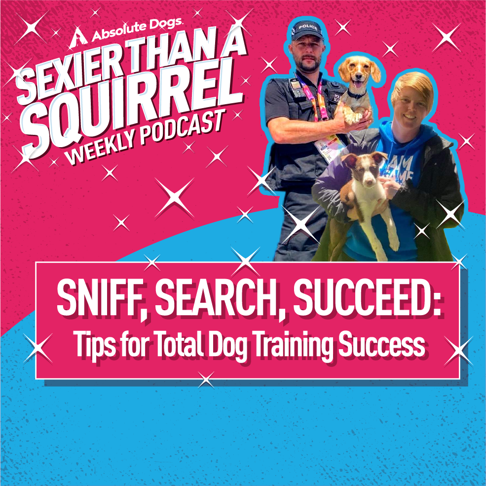 Sniff, Search, Succeed