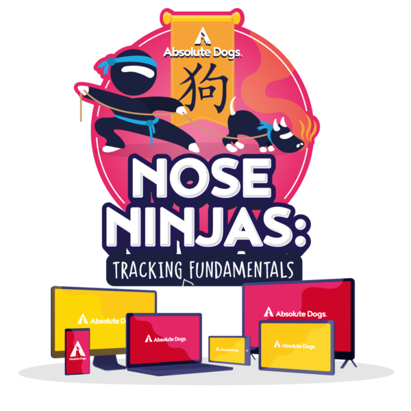 Nose Ninjas course logo