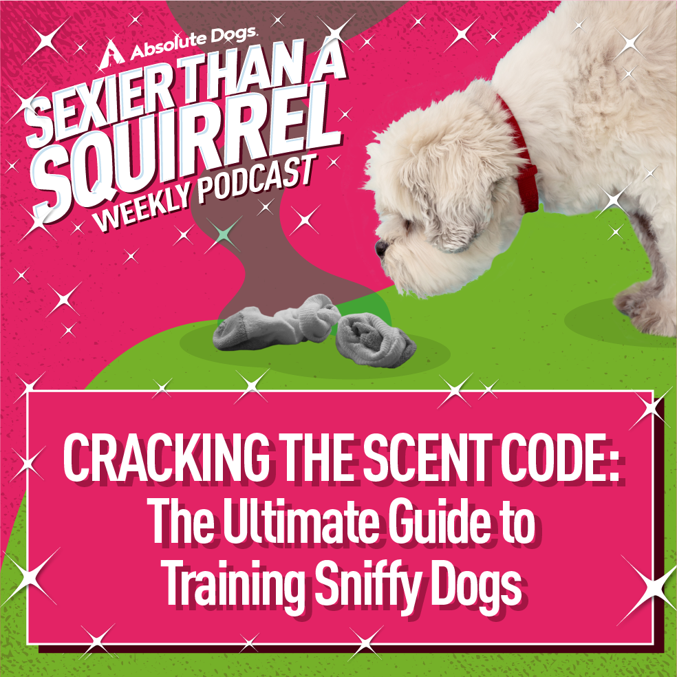 Cracking the Scent Code