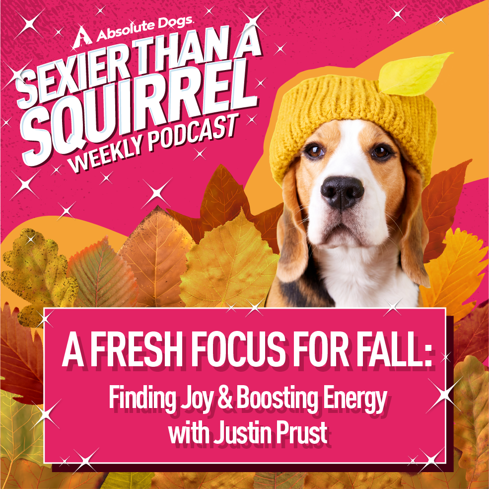 A Fresh Focus For Fall. Dog in hat