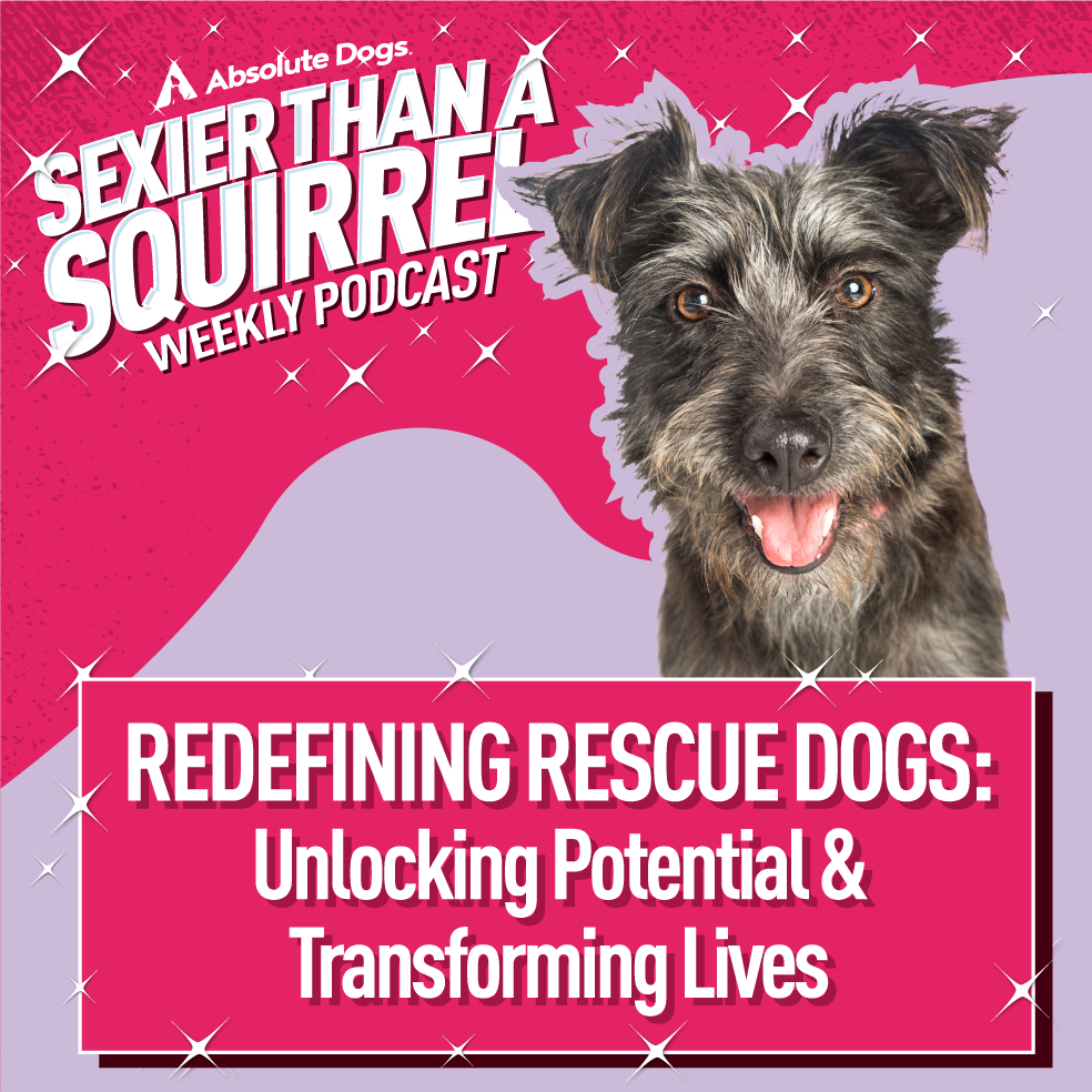 Redefining Rescue Dogs