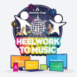 Heelwork To Music course logo