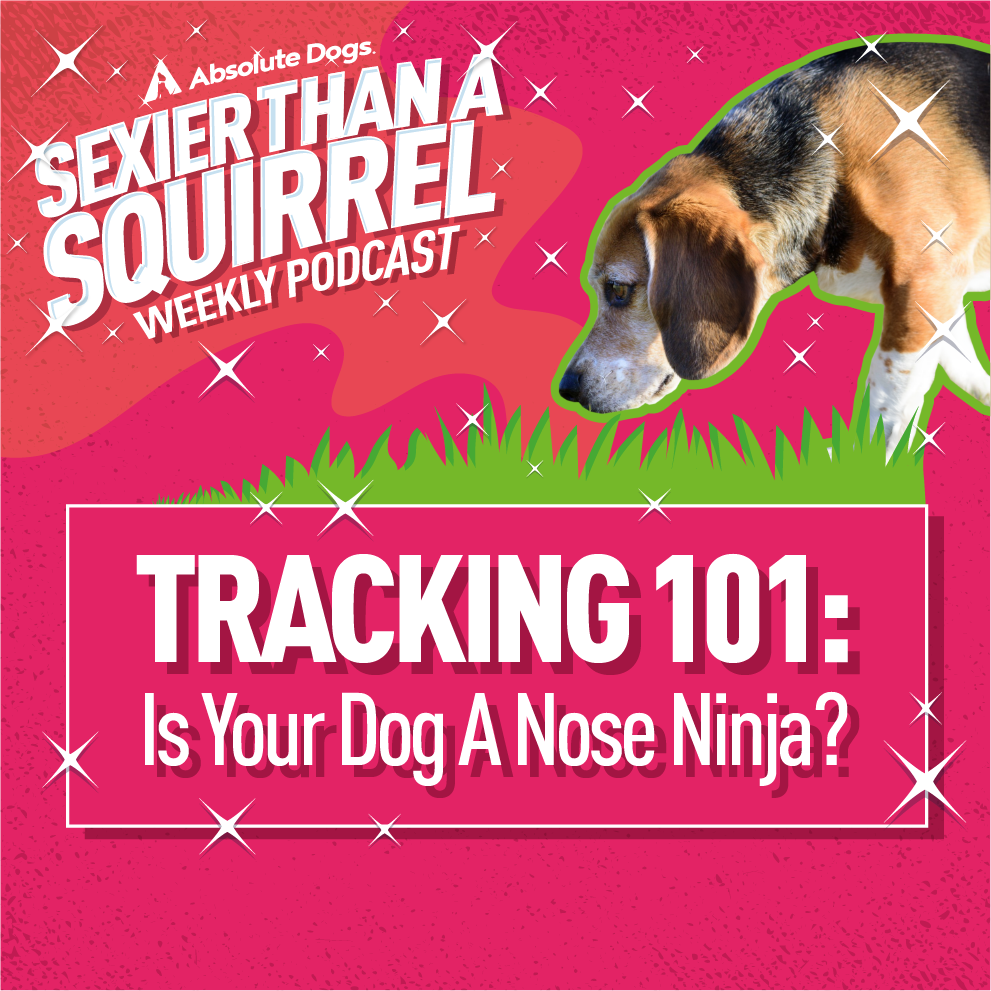 Tracking 101