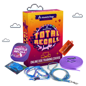 Total Recall Live: Let's Stick Together Collection
