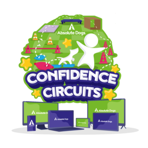 Confidence Circuits Product thumbnail